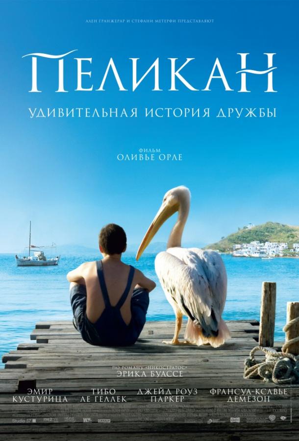 Фильм Пеликан (2011) смотреть онлайн бесплатно